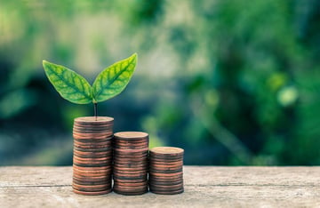 Sustainable Finance-Fintech Leading Eco-Friendly Investment and Practices (1)